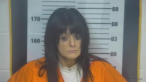 Rebecca Dress Arrest Mugshot