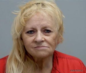 Robin Barnette Arrest Mugshot