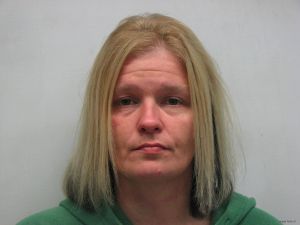 Robyn Newberry Arrest Mugshot