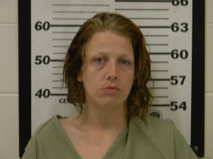Stephanie Parker Arrest Mugshot