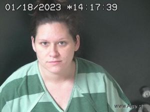 Sabrina Ogden Arrest Mugshot