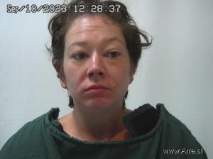 Sarah Anderson Arrest