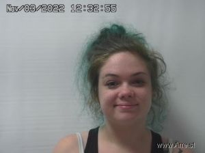 Sarah Miller Arrest Mugshot