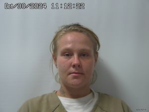 Sarah Mitchem Arrest Mugshot