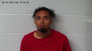 Scylar Johnson Arrest Mugshot