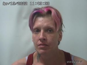 Shauna Hamilton Arrest Mugshot