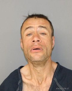 Shawn Ladig Arrest Mugshot