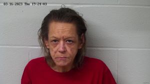 Shelia Wolfe Arrest Mugshot
