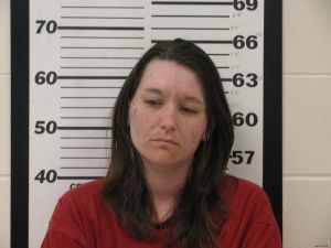 Stephanie Wilson Arrest Mugshot