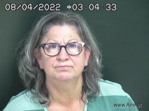 Susan Johnson Arrest Mugshot