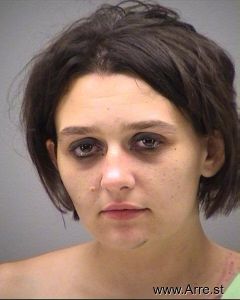 Tara Dirksen Arrest Mugshot