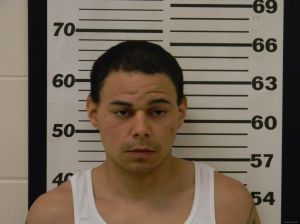 Travis Kelly Arrest Mugshot