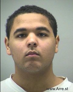 Tyler Mitchell Arrest Mugshot