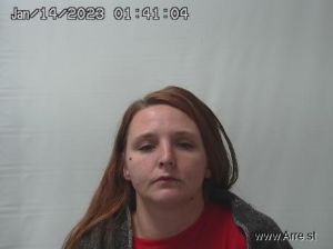 Tiffany Chambers Arrest