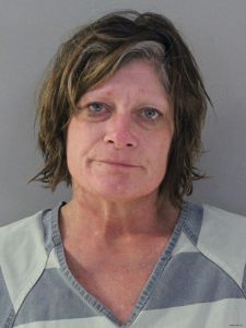 Tonya Malinovsky Arrest Mugshot