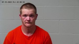 Travis Langley Arrest Mugshot