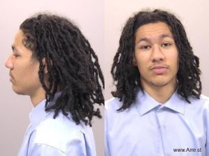 Trenton Williams Arrest Mugshot