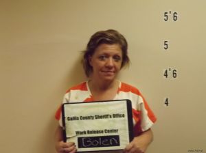 Vanessa Bolen Arrest Mugshot