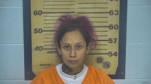 Veronica Ryf Arrest Mugshot