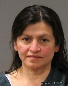 Vilma Diaz-sanabria Arrest Mugshot