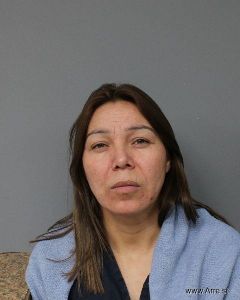 Viviana Orellana Arrest Mugshot