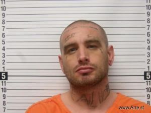 William Baumgardner Arrest Mugshot