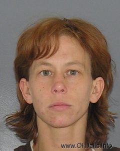 Michelle Rene Wolfe Arrest