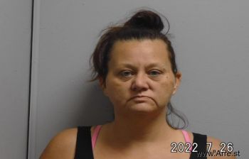 Amanda Sue King Mugshot