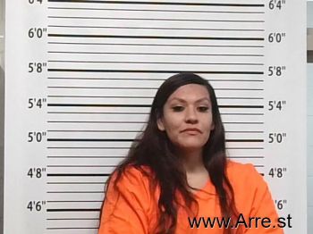 Amanda Joyce Parker Mugshot