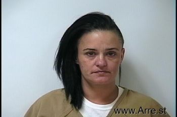 Amber Dawn Potter Mugshot