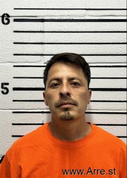 Apolianr  Anguiano Mugshot