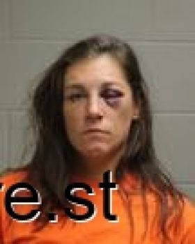 April Danielle Willis Mugshot