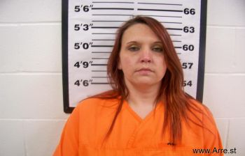 Ashley Lynn Willis Mugshot