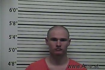 Austin Ray Blake Harger Mugshot