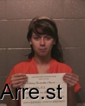 Amanda Marie Evans Mugshot