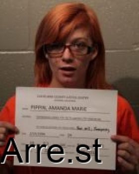 Amanda Marie Pippin Mugshot