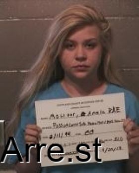 Amelia Rae Molitor Mugshot