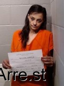 Angela Marie Nelson Mugshot