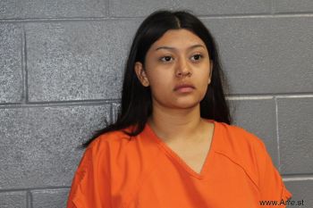 Angie  Ortiz-hernandez Mugshot