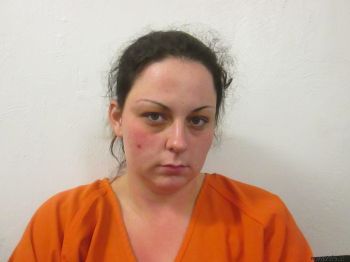 Angie Lynn Williamson Mugshot