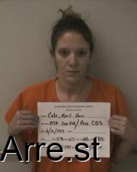 April Dawn Cole Mugshot