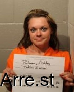 Ashley Miranda Palmer Mugshot