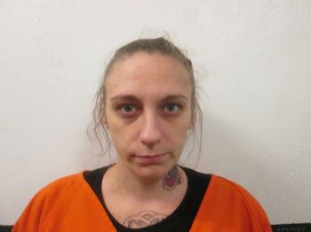 Ashley Lynn Robinson Mugshot