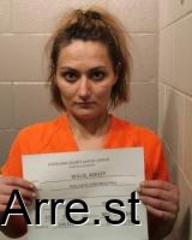 Ashley Nichole Willis Mugshot