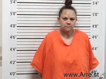 Brandi Marie Johnson Mugshot