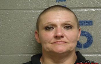 Brandi Delyn Mitchell Mugshot