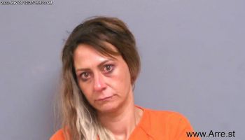 Brandy Nicole Anderson Mugshot