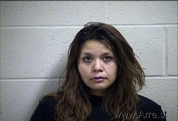 Brittany Kaye Wolf Mugshot