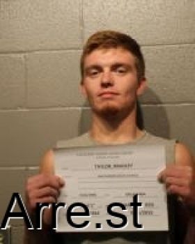 Bradley Milo Taylor Mugshot