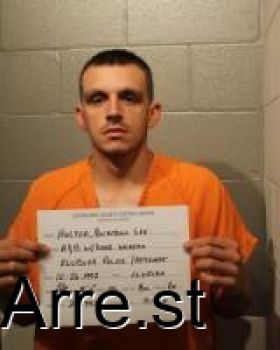 Brandon Lee Holton Mugshot